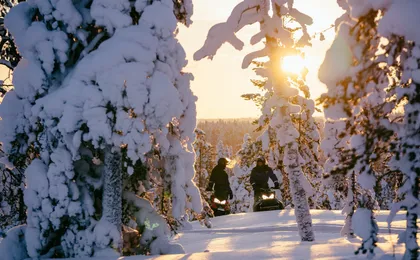 3-hour snowmobile adventure in Levi