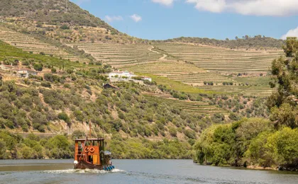 Full-day wine tour of Douro Valley
