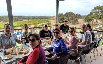 Full-day McLaren Vale bike and wine tour