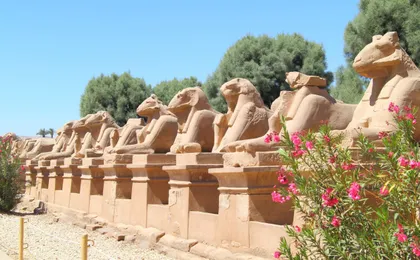 Ancient Luxor daytrip from Sharm El Sheikh with flights