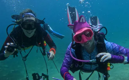 Fujairah two dives for certified divers
