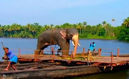 Kerala Package for 8 Days with Private Vehicle.