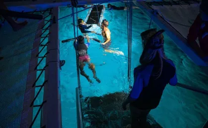 Late night manta ray snorkel experience