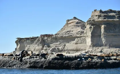 Full-day Excursion to Peninsula Valdes from Puerto Madryn