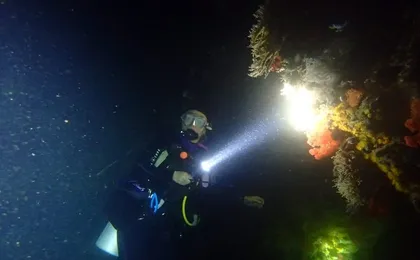 Scuba Diving at Dusk in Unawatuna