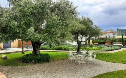 Patras shopping and winery tour