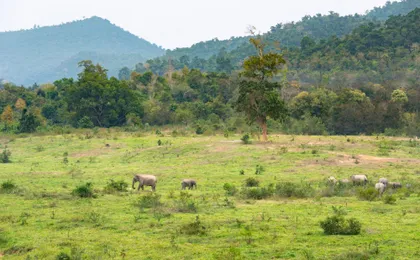 Thailand’s temples and trunks tour with Kui Buri elephant safari from Hua Hin