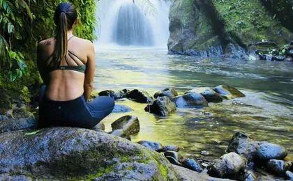 Mindo full-day tour with butterfly garden and cloud forest