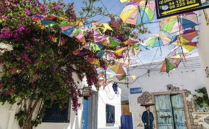 Guided tour of Tunisian Atlas Mountain villages from Hammamet