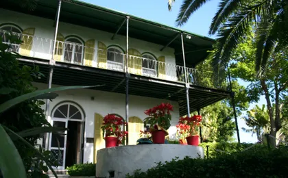 Key West tour with dolphin watching from Miami
