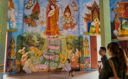 Full-day Khao Sok tour with elephant sanctuary and bamboo rafting
