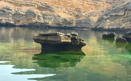 Full-day Dhow cruise between the Musandam Fjords