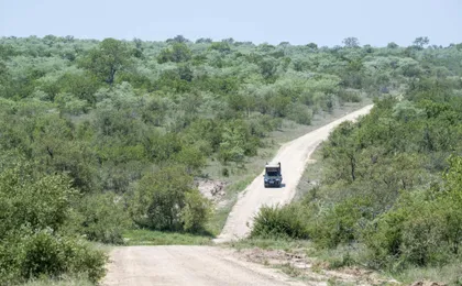 Kruger National Park full-day safari from Hazyview