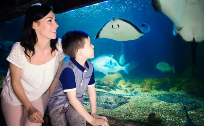 SEA LIFE Manchester entrance tickets