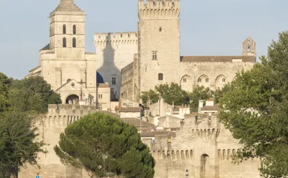 Walking Tour of Avignon and Popes' Palace