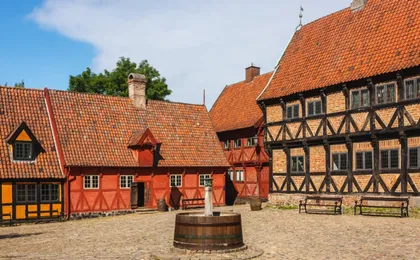 Private walking tour passing the best of Aarhus