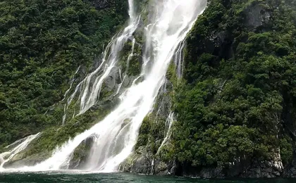 Milford Sound boutique small boat day cruise