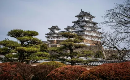 Himeji, Nara and Kobe full-day tour from Osaka