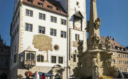 Würzburg's historic landmarks guided walking tour