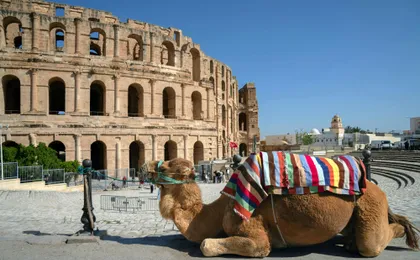 Kairouan Holy City and El Jem tour from Hammamet