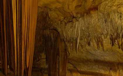 Cova dels Coloms Sea Caves Guided Tour with Eco Island Adventure
