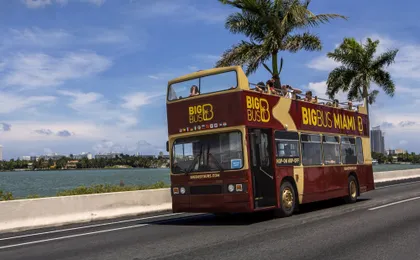 Hop-on hop-off sightseeing tour 24-hour pass