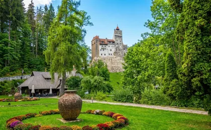 Libearty Bear Sanctuary and Bran Castle private full-day tour