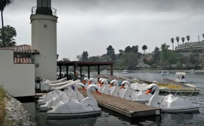 Swan boat rental in Echo Park Los Angeles