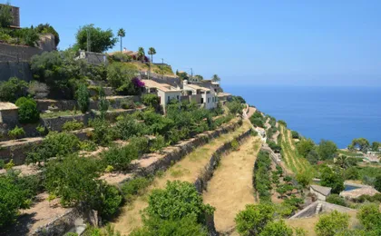 Authentic Majorca Winter Tour