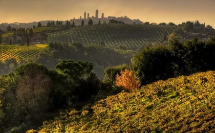 Sunset Wine Tour from Siena to Chianti with Dinner