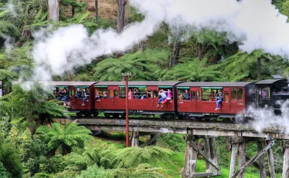 Puffing Billy and Healesville Sanctuary scenic bus tour