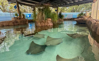 Zoo Tampa at Lowry Park