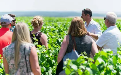 Domaine Clotilde Davenne winery tour in English and Chablis tasting