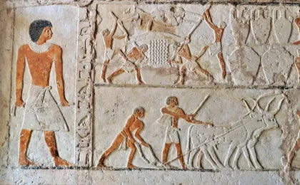 Full-day the Pyramids, Sphinx, Memphis, Saqara and Dahshour