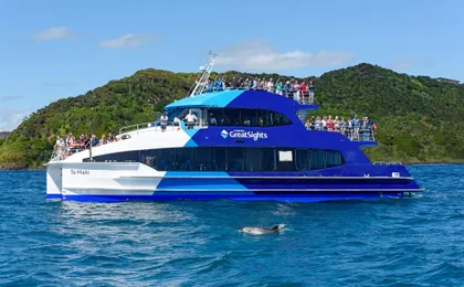 Small group day tour to Bay of Islands from Auckland