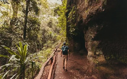 Nairobi Day Tour to Karura Forest Hike, Trail Bike & Nature Walk