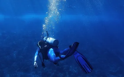 Snorkeling Trip At Satayh Dolphin Reef