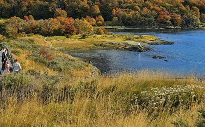 National Park Tierra del Fuego