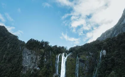 Milford Sound cruise experience