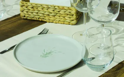 Vinho Verde vineyard and wine tasting experience