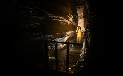 Te Anau Glowworm Caves