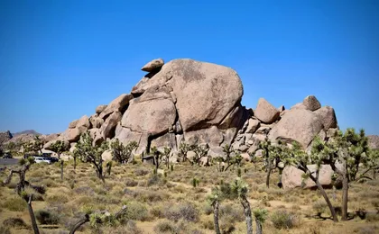 Joshua Tree's Hidden Valley self-guided walking audio tour