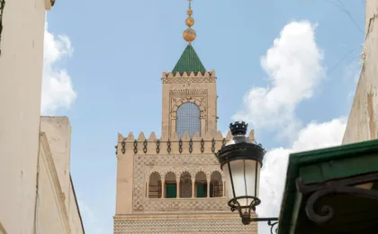Ancient Carthage, Sidi Bou Said and Bardo Museum tour with lunch