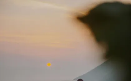 Sunset Experience on Lipari Island with Vineyard Picnic
