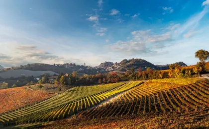 A journey through Barolo's finest vintages
