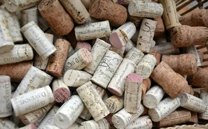 Domaine Clotilde Davenne winery tour in English and Chablis tasting