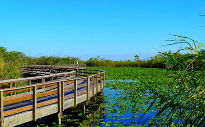 Everglades National Park Self-Guided Driving Audio Tour