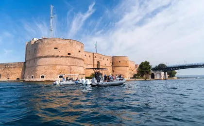 Dolphin watching boat tour in in Taranto
