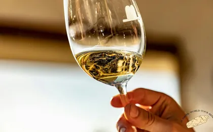 Biscay Bridge, Gaztelugatxe and txakoli tasting small group tour