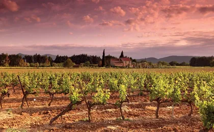 San Gimignano, Chianti and Montalcino Tour from Siena with Wine Tasting